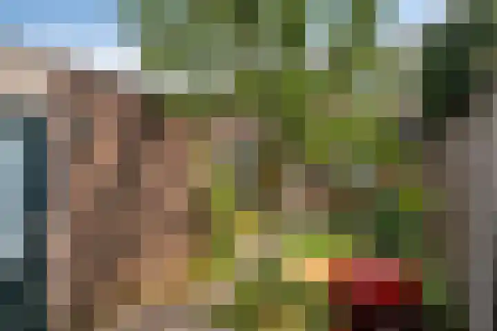 Raatven 2 Eindhoven thumbnail 31