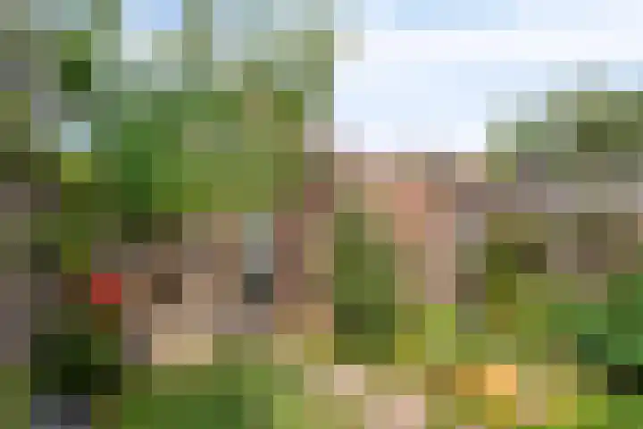 Raatven 2 Eindhoven thumbnail 4