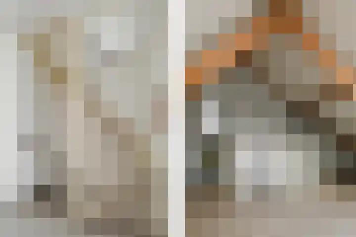 Raatven 26 Eindhoven thumbnail 20