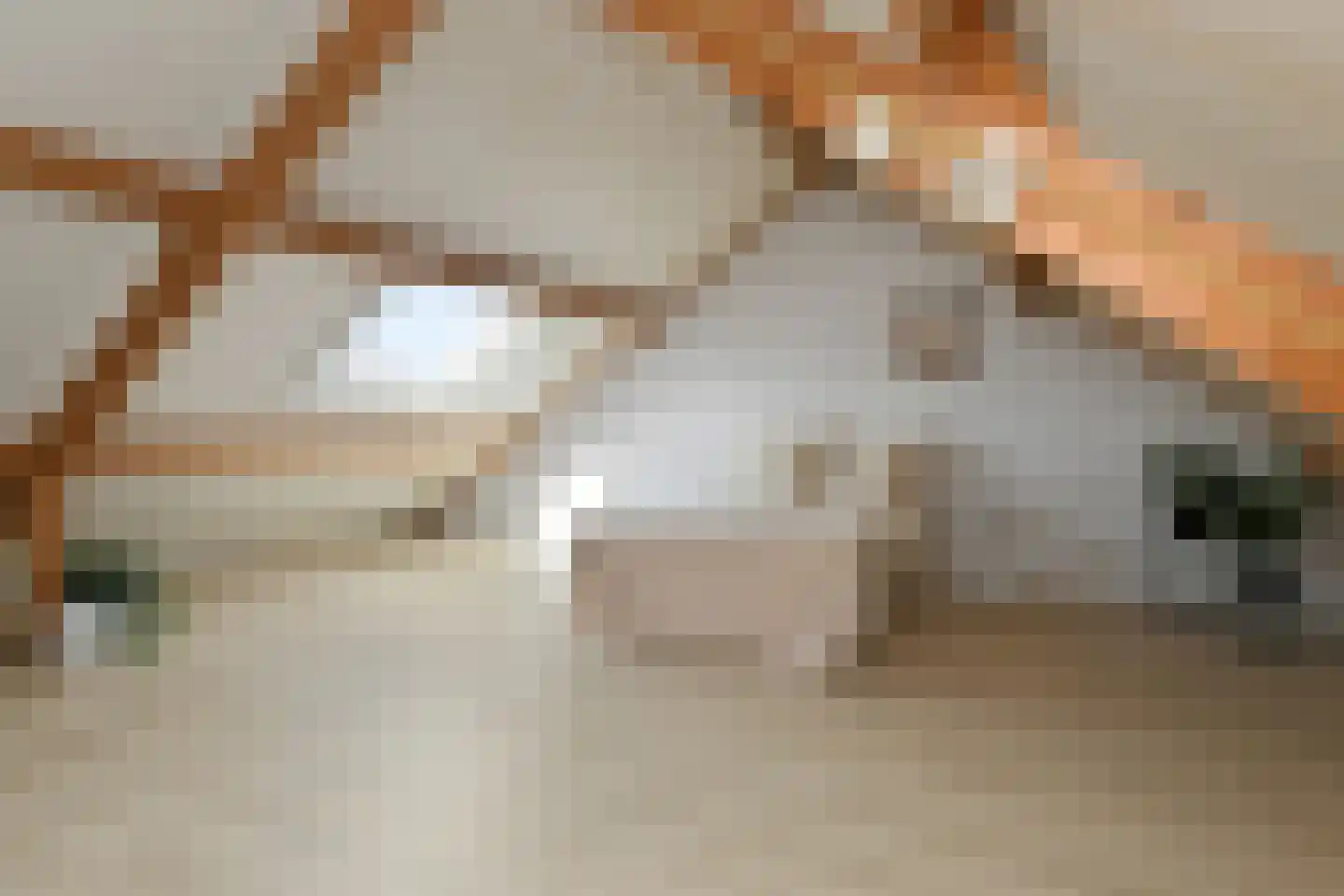 Raatven 26 Eindhoven thumbnail 22