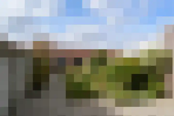 Raatven 26 Eindhoven thumbnail 24