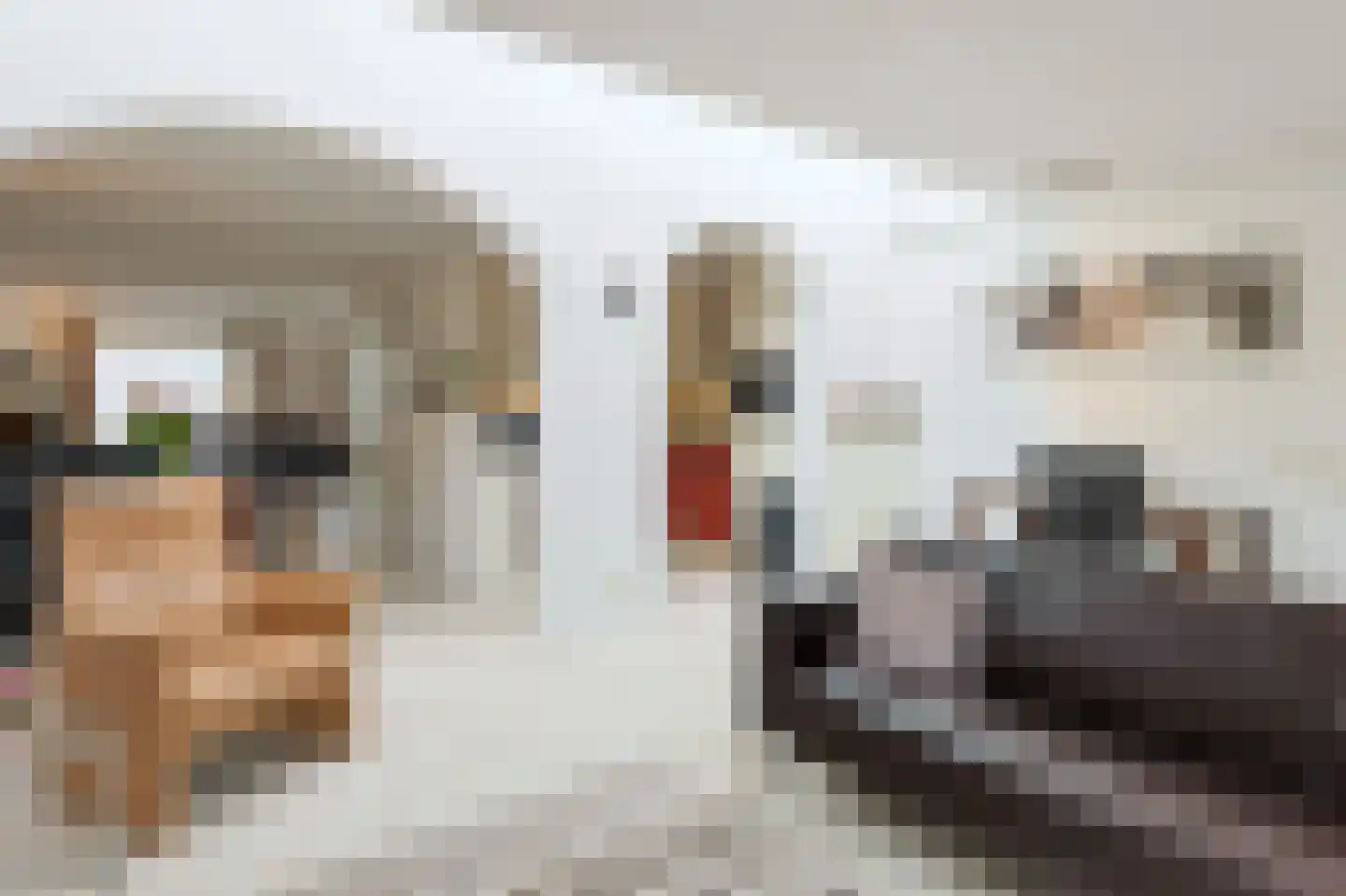 Raatven 43 Eindhoven thumbnail 27