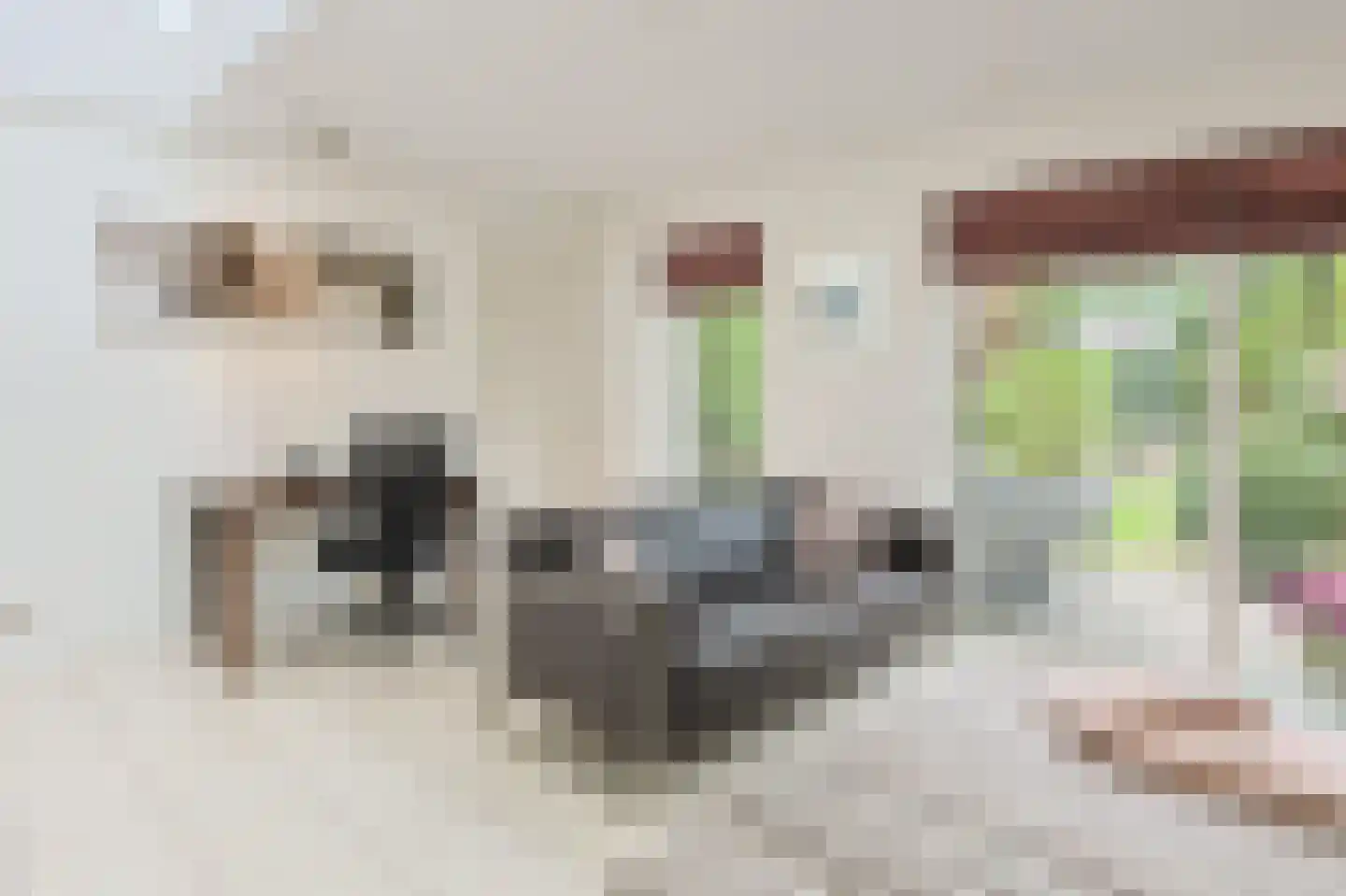 Raatven 43 Eindhoven thumbnail 33