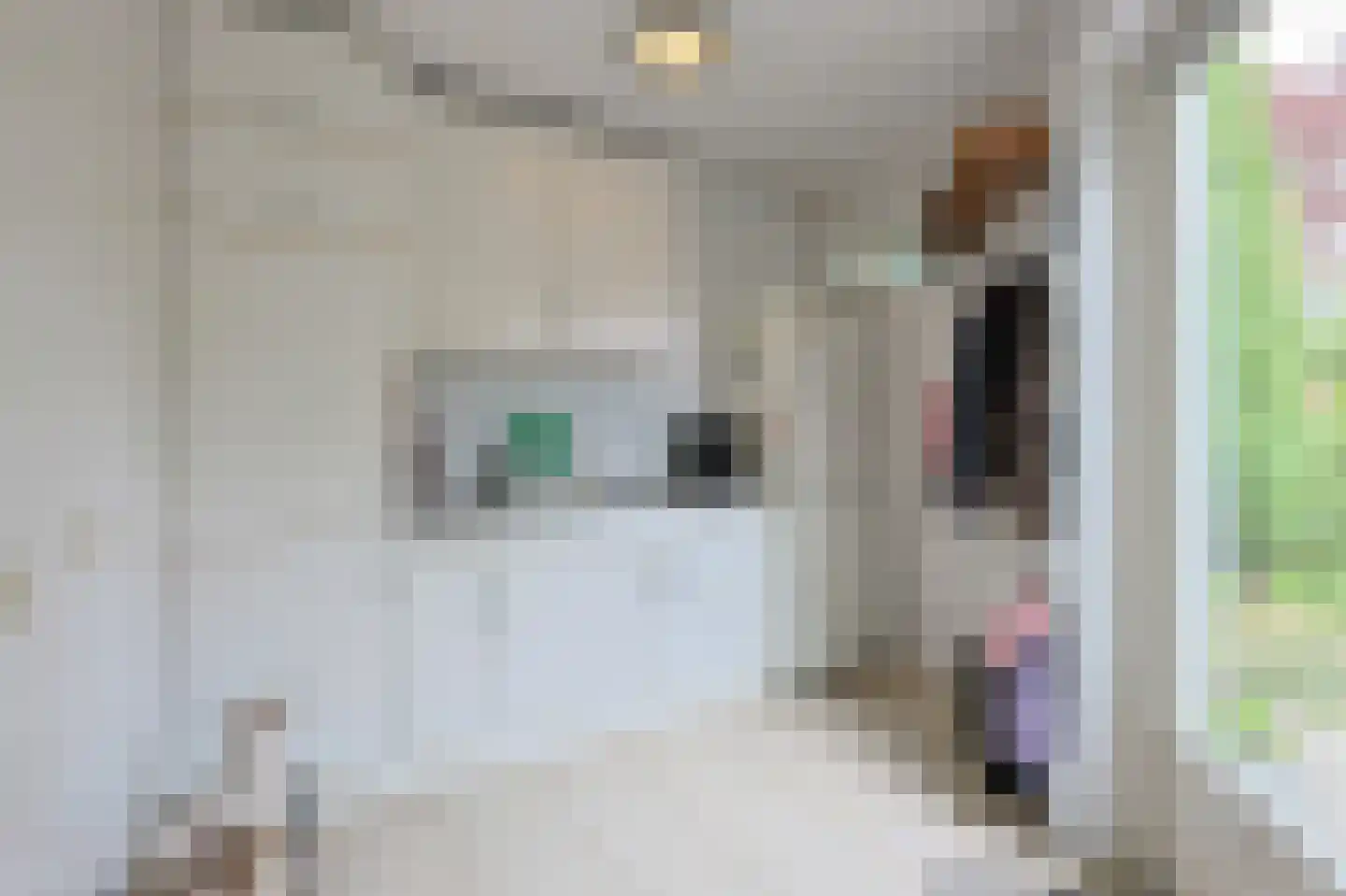 Raatven 43 Eindhoven thumbnail 34