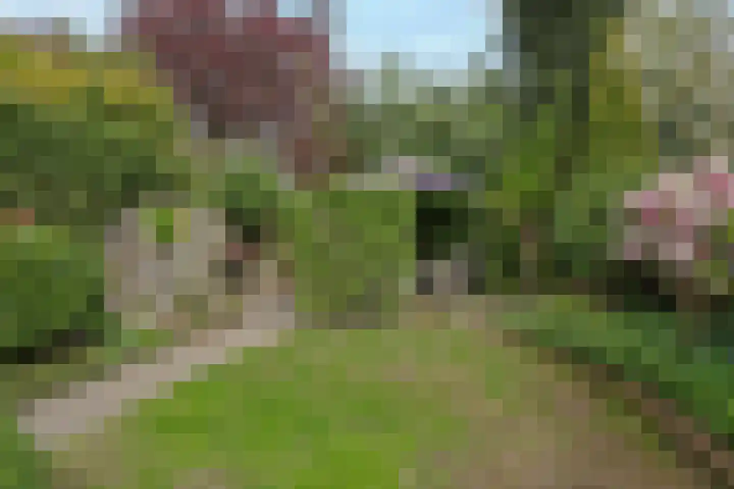 Raatven 43 Eindhoven thumbnail 41