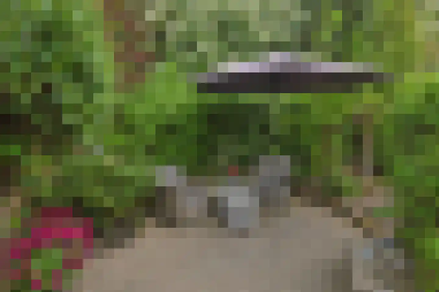 Raatven 43 Eindhoven thumbnail 42