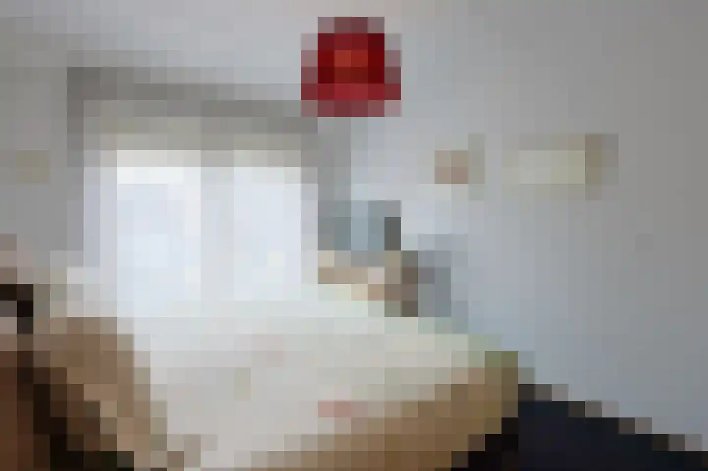 Raatven 43 Eindhoven thumbnail 49