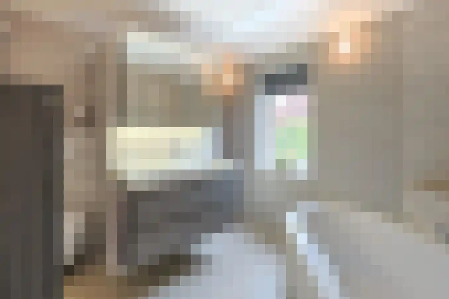 Raatven 43 Eindhoven thumbnail 54