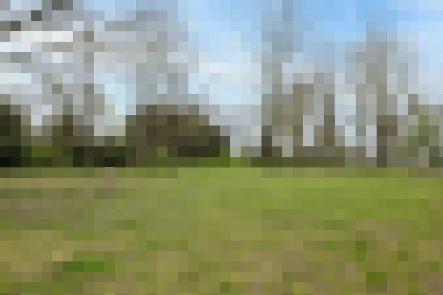Raatven 43 Eindhoven thumbnail 69