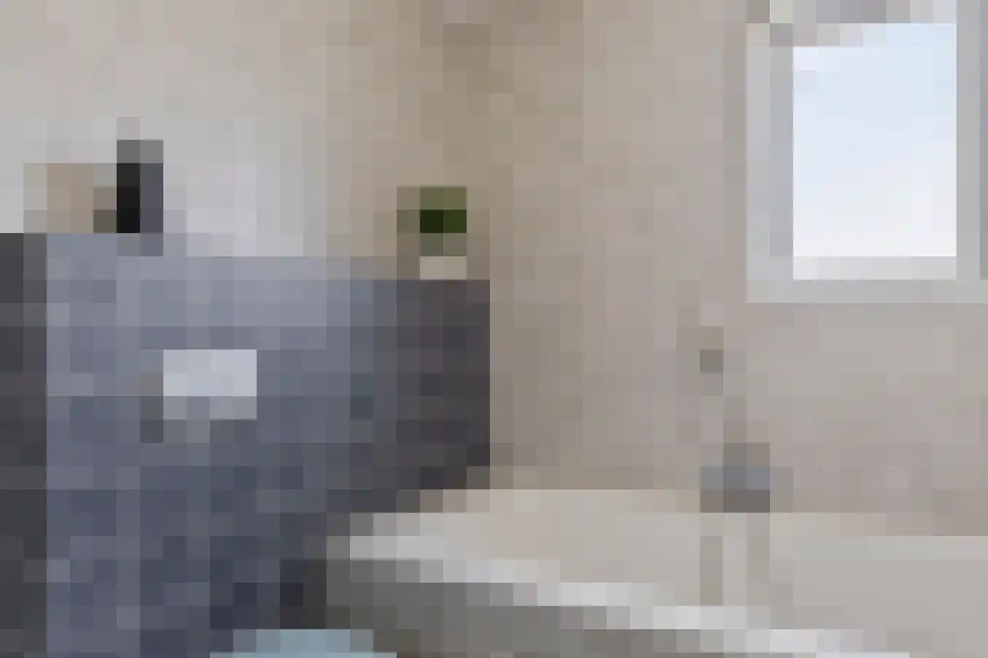 Raatven 5 Eindhoven thumbnail 25