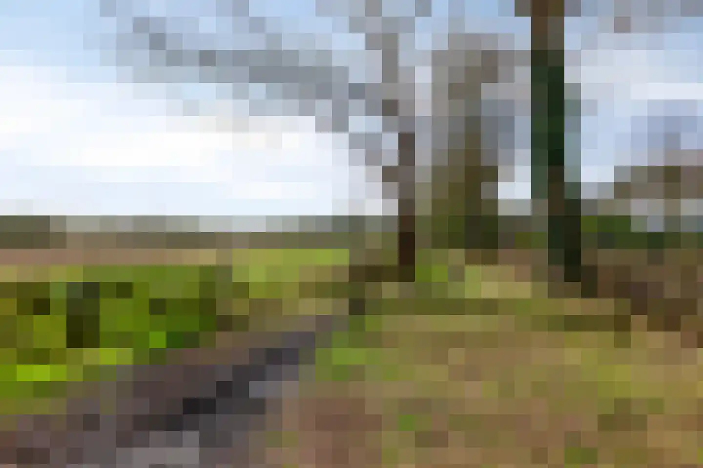 Raatven 5 Eindhoven thumbnail 42