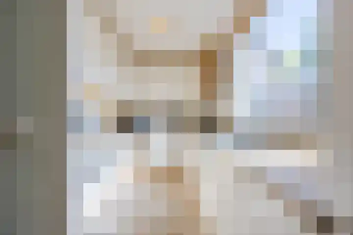 Raatven 60 Eindhoven thumbnail 10