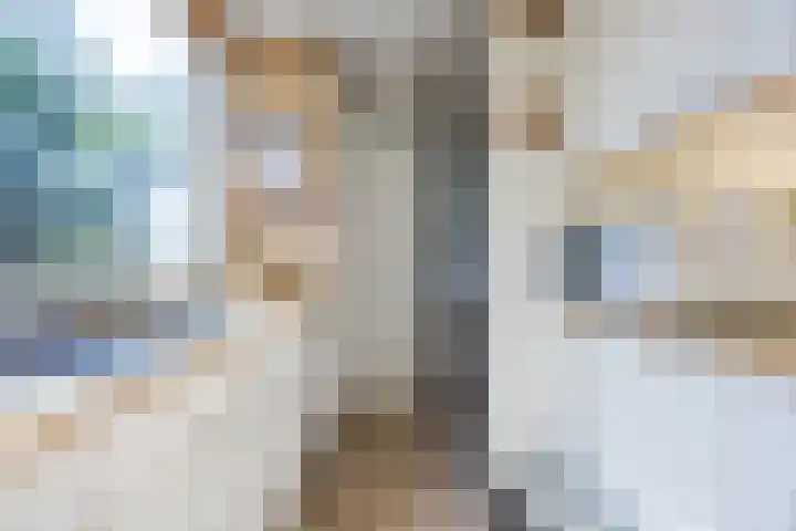 Raatven 60 Eindhoven thumbnail 12