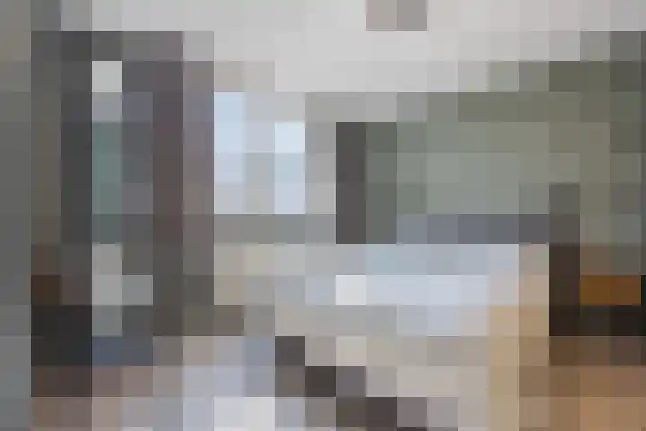 Raatven 60 Eindhoven thumbnail 15