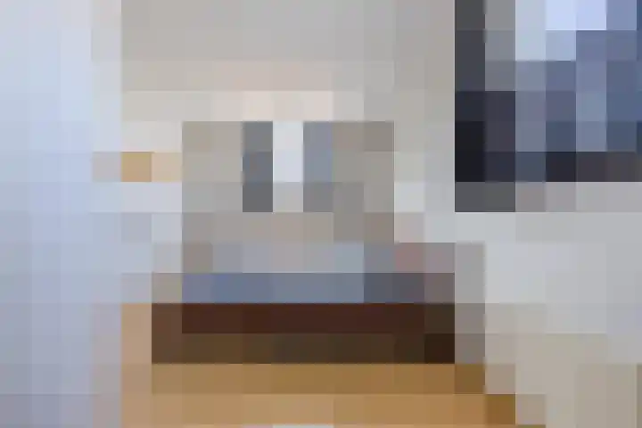 Raatven 60 Eindhoven thumbnail 17
