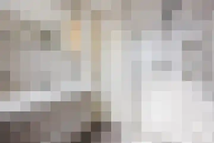 Raatven 60 Eindhoven thumbnail 20