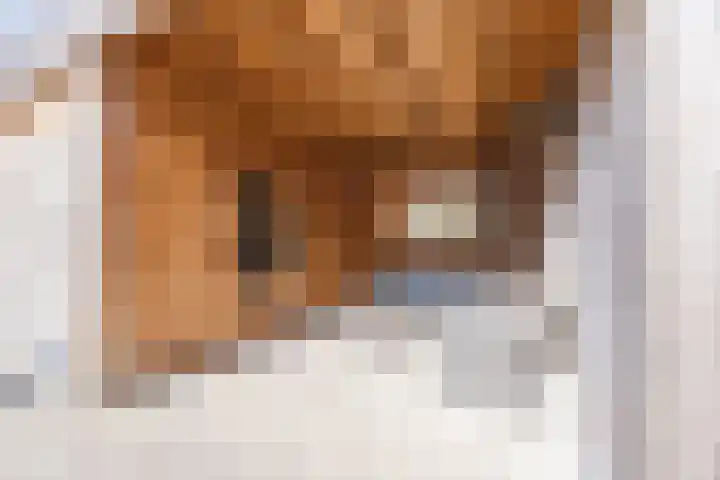 Raatven 60 Eindhoven thumbnail 34