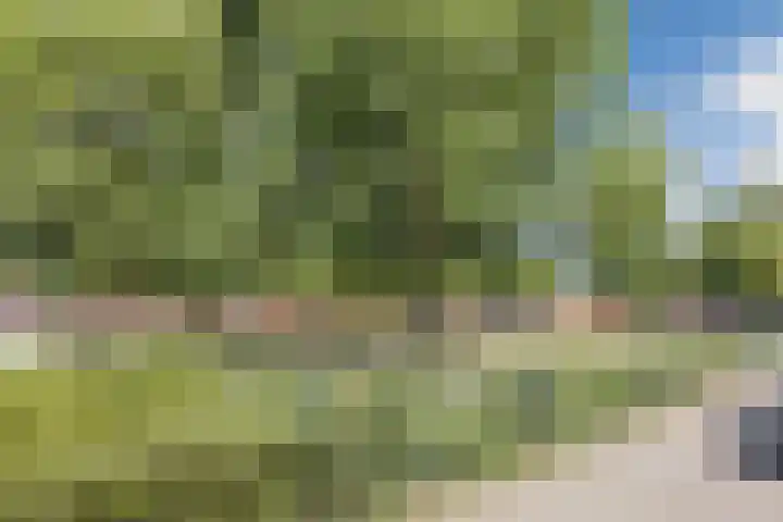 Raatven 60 Eindhoven thumbnail 39