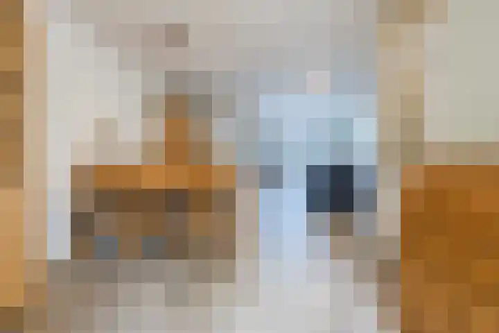 Raatven 60 Eindhoven thumbnail 7