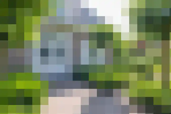 Raaweg 10 Haaksbergen thumbnail 10