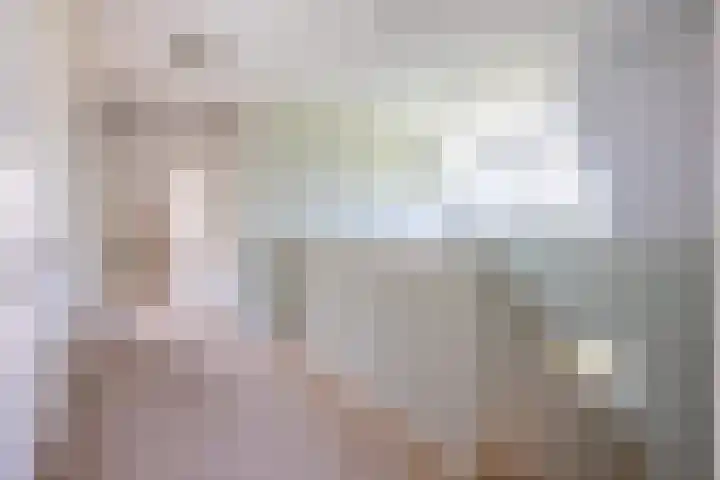 Raaweg 10 Haaksbergen thumbnail 64