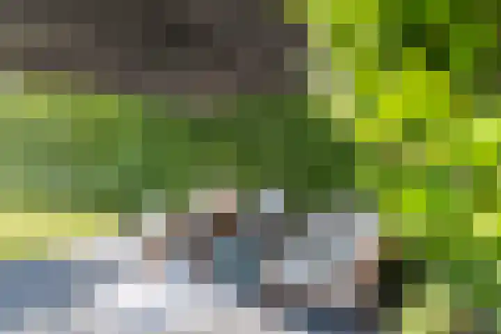 Raaweg 10 Haaksbergen thumbnail 68