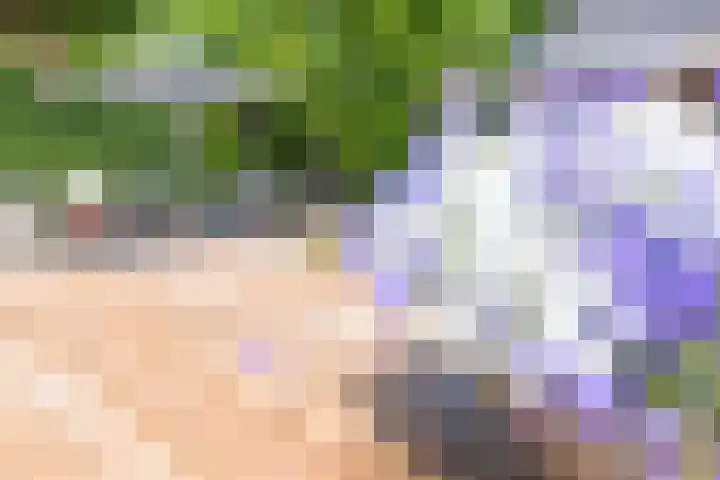 Raaweg 10 Haaksbergen thumbnail 77