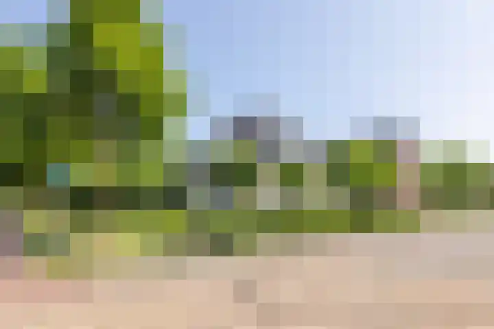 Raaweg 10 Haaksbergen thumbnail 83