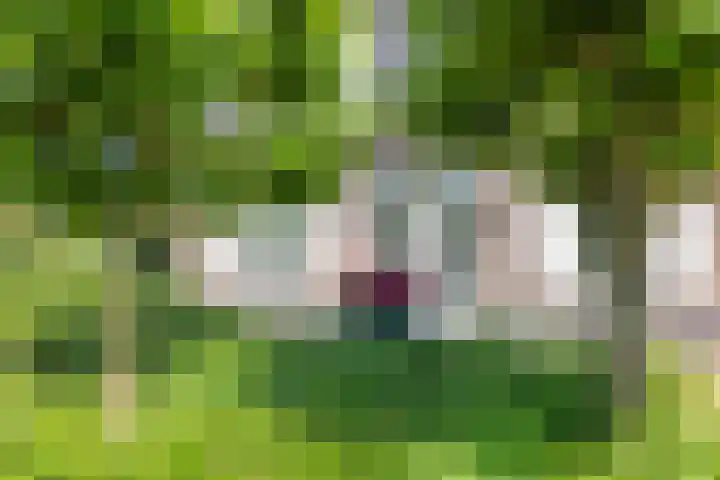 Raaweg 10 Haaksbergen thumbnail 84