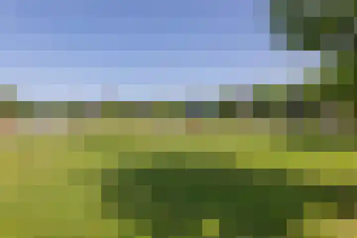 Raaweg 10 Haaksbergen thumbnail 87