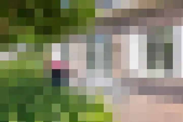 Raaweg 10 Haaksbergen thumbnail 9