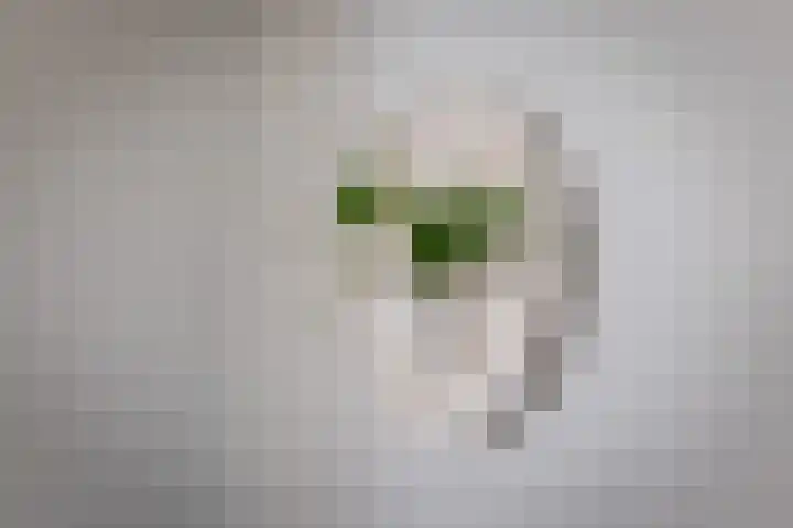 Raaweg 10 Haaksbergen thumbnail 92