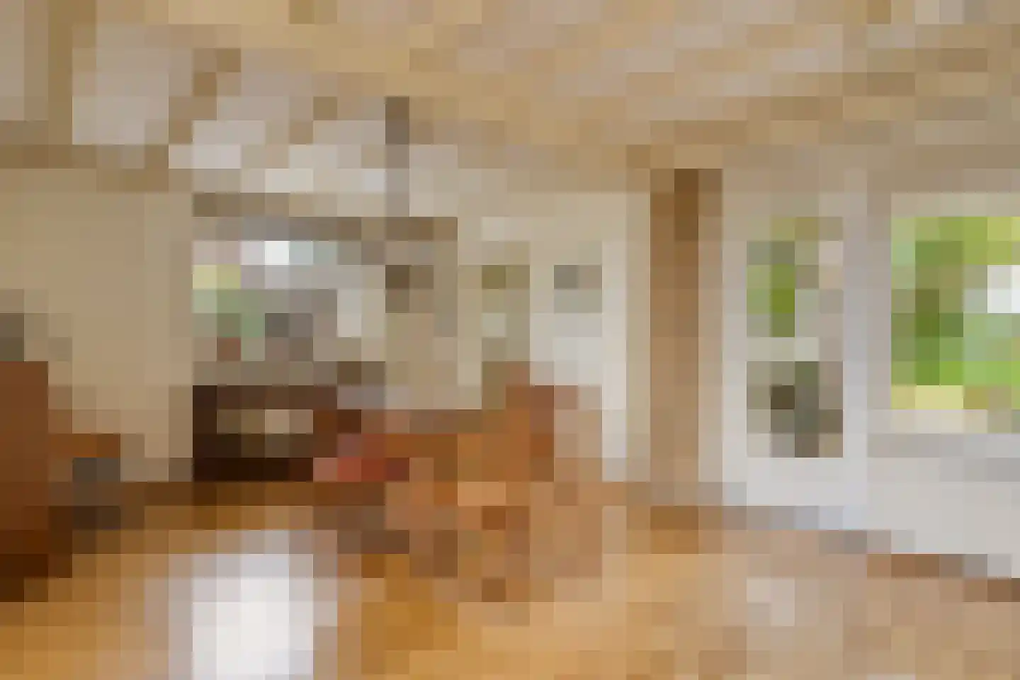 Raayerveldweg 7 Swalmen thumbnail 11