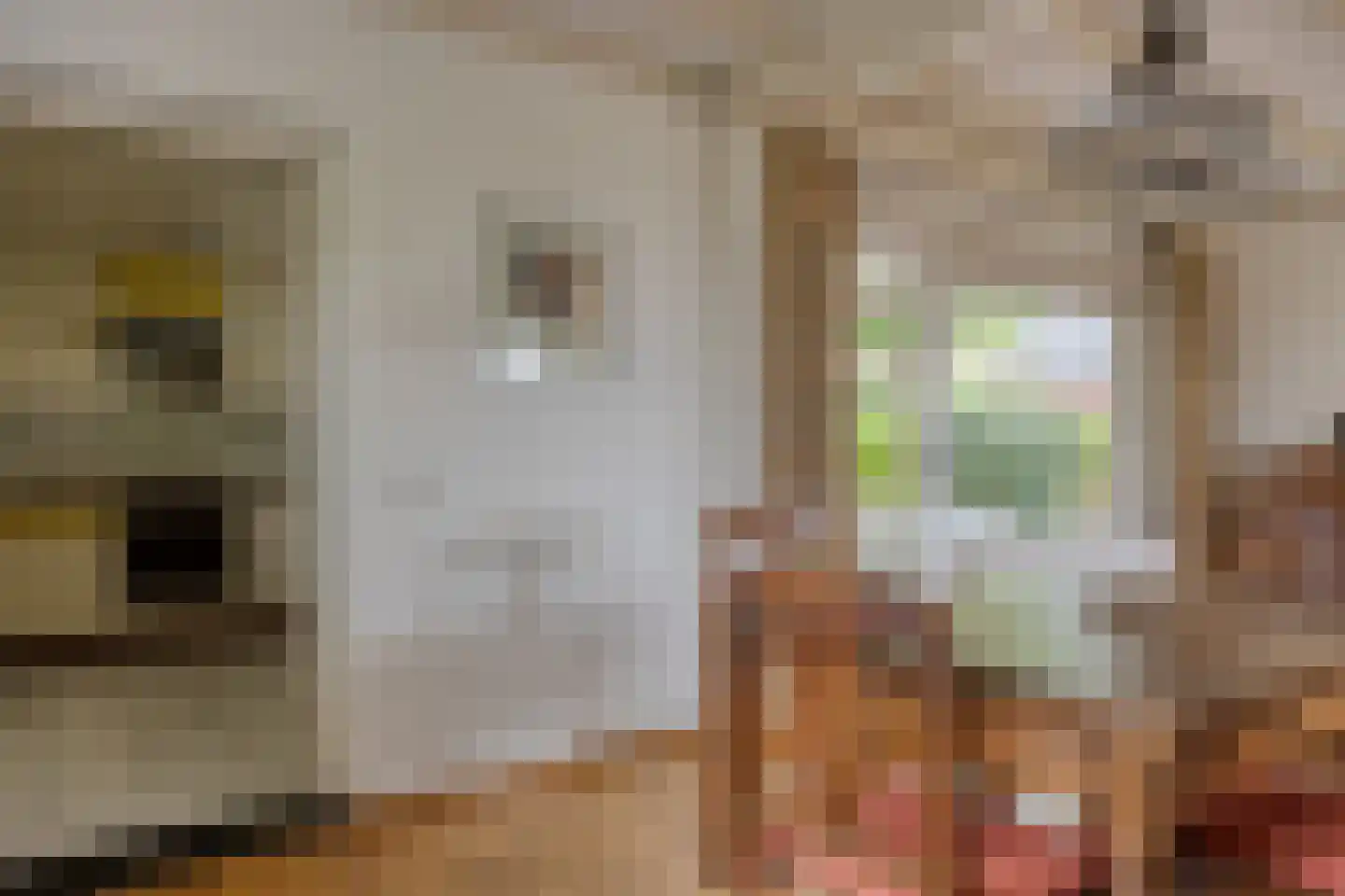 Raayerveldweg 7 Swalmen thumbnail 14