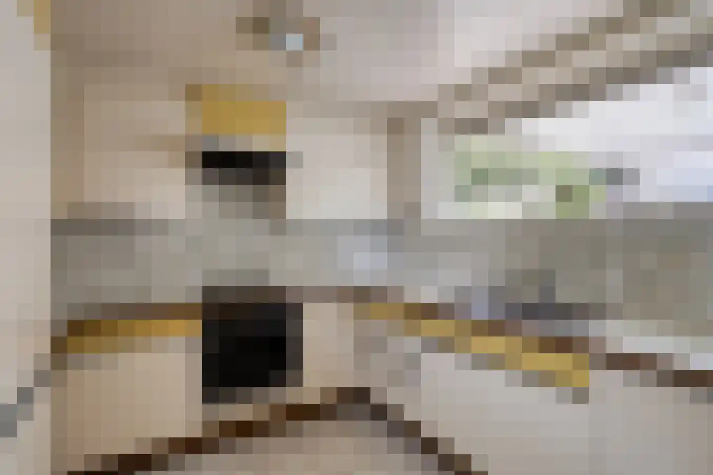 Raayerveldweg 7 Swalmen thumbnail 15