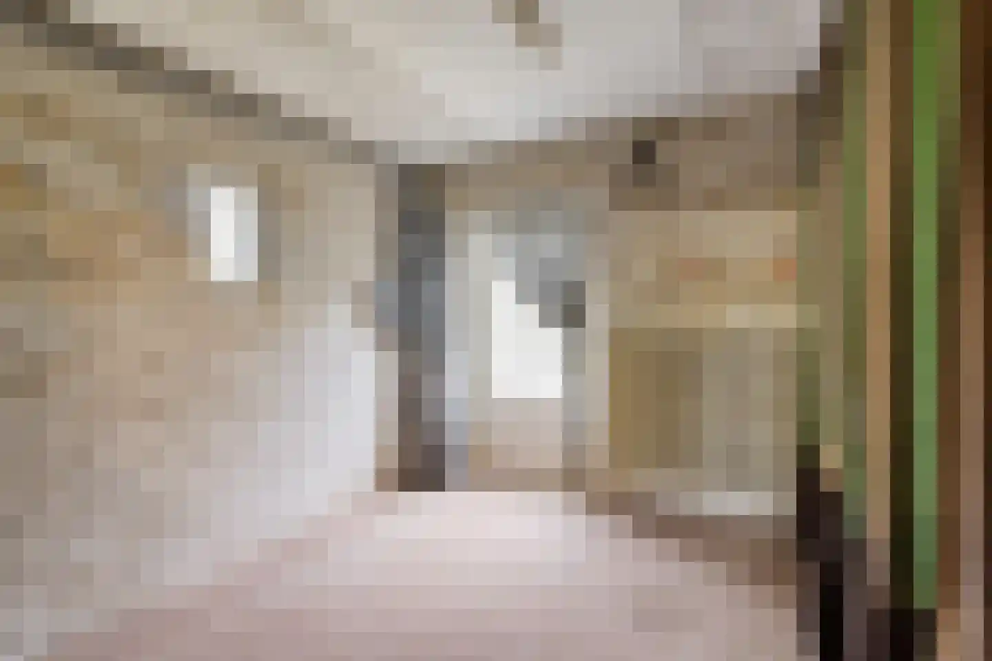 Raayerveldweg 7 Swalmen thumbnail 36