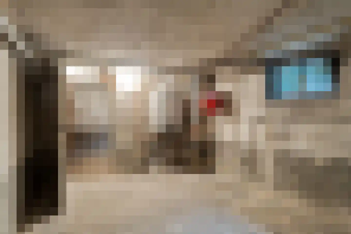 Raayerveldweg 7 Swalmen thumbnail 40