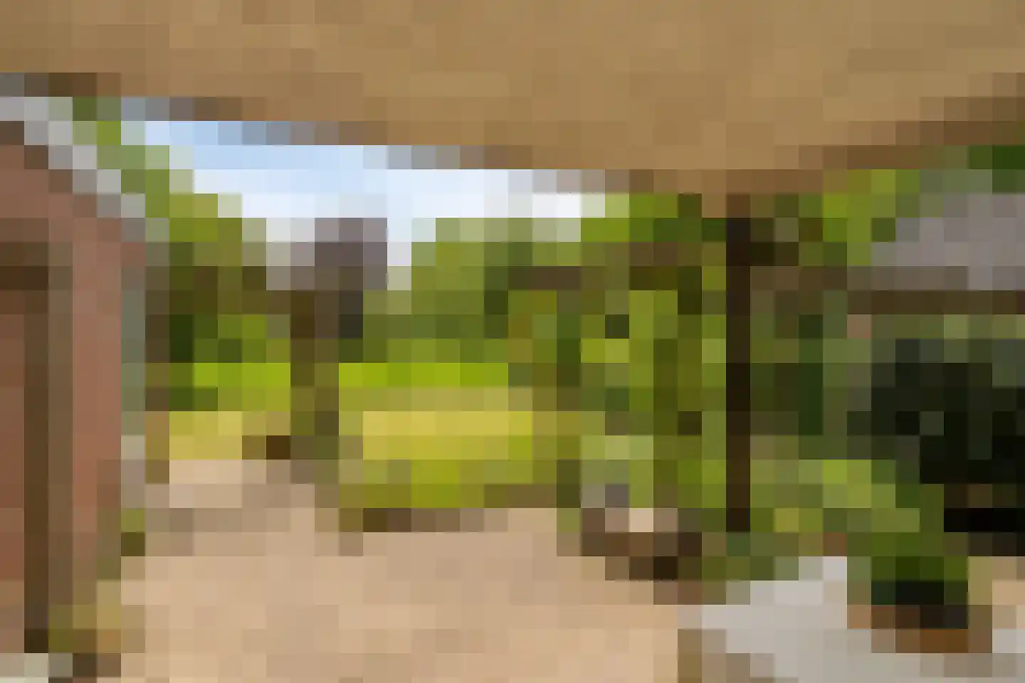 Raayerveldweg 7 Swalmen thumbnail 41