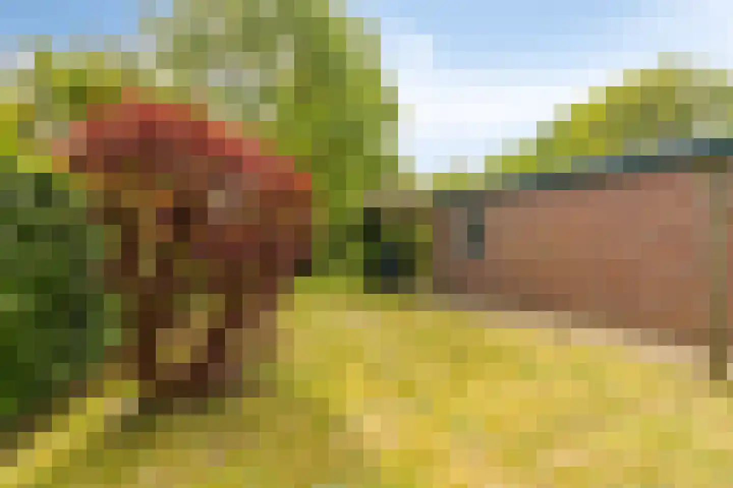 Raayerveldweg 7 Swalmen thumbnail 46