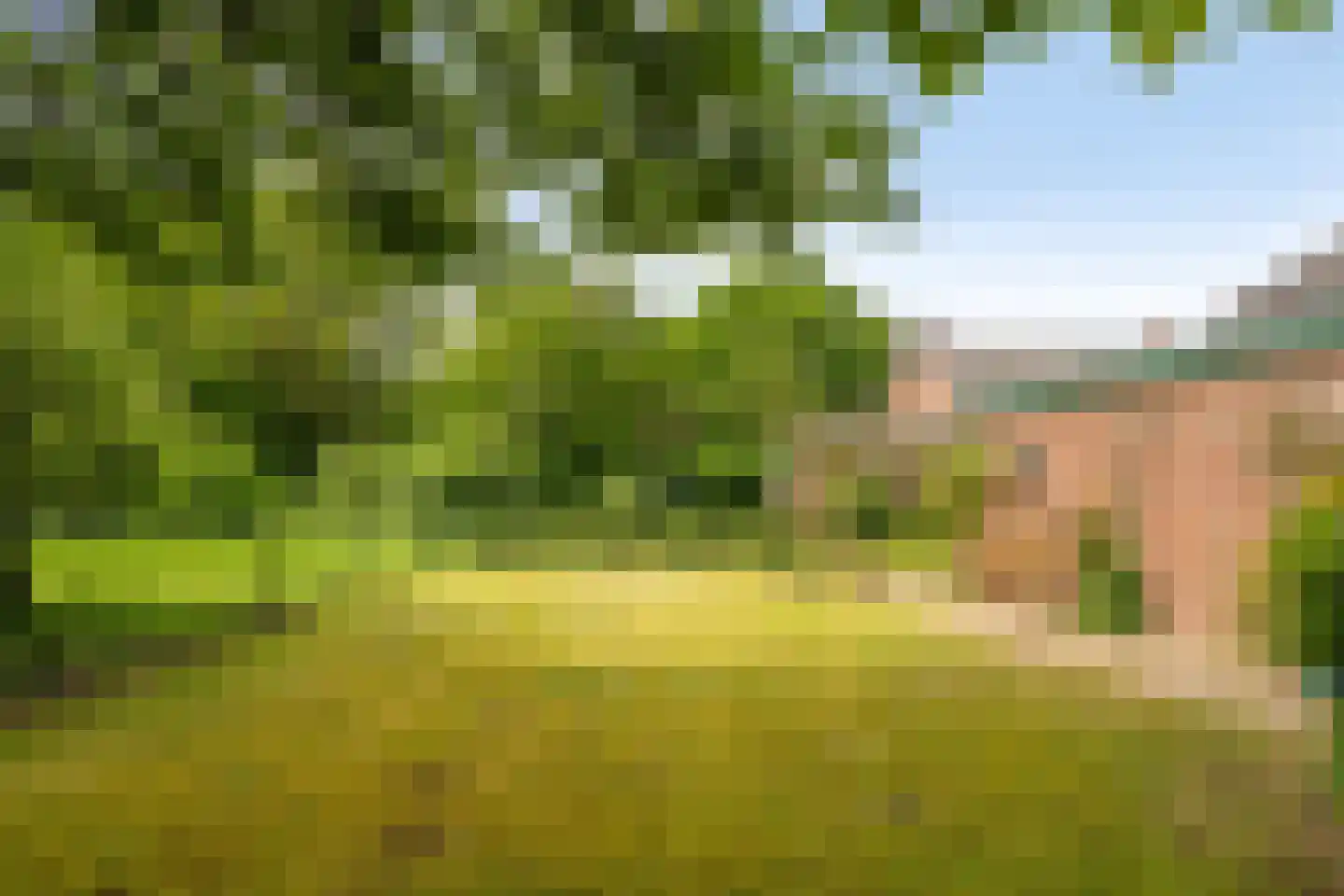 Raayerveldweg 7 Swalmen thumbnail 47