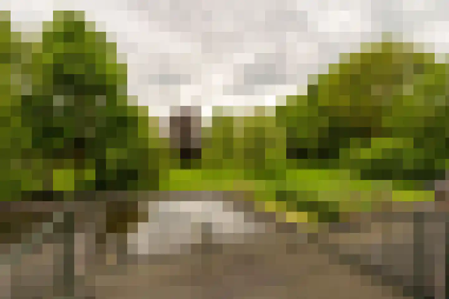 Raayerveldweg 7 Swalmen thumbnail 49