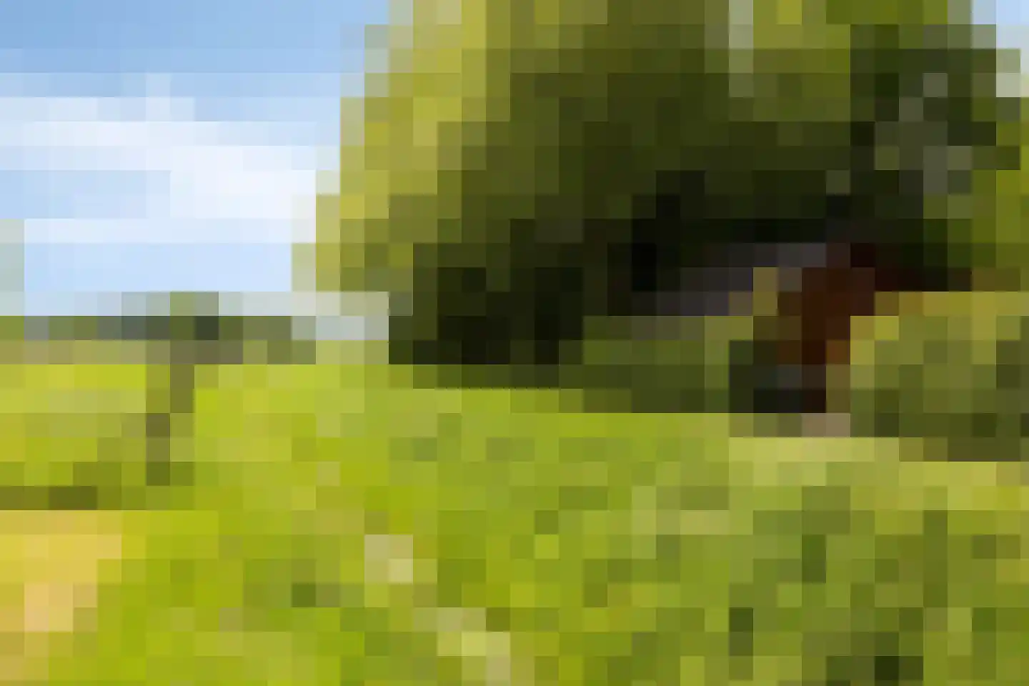 Raayerveldweg 7 Swalmen thumbnail 54
