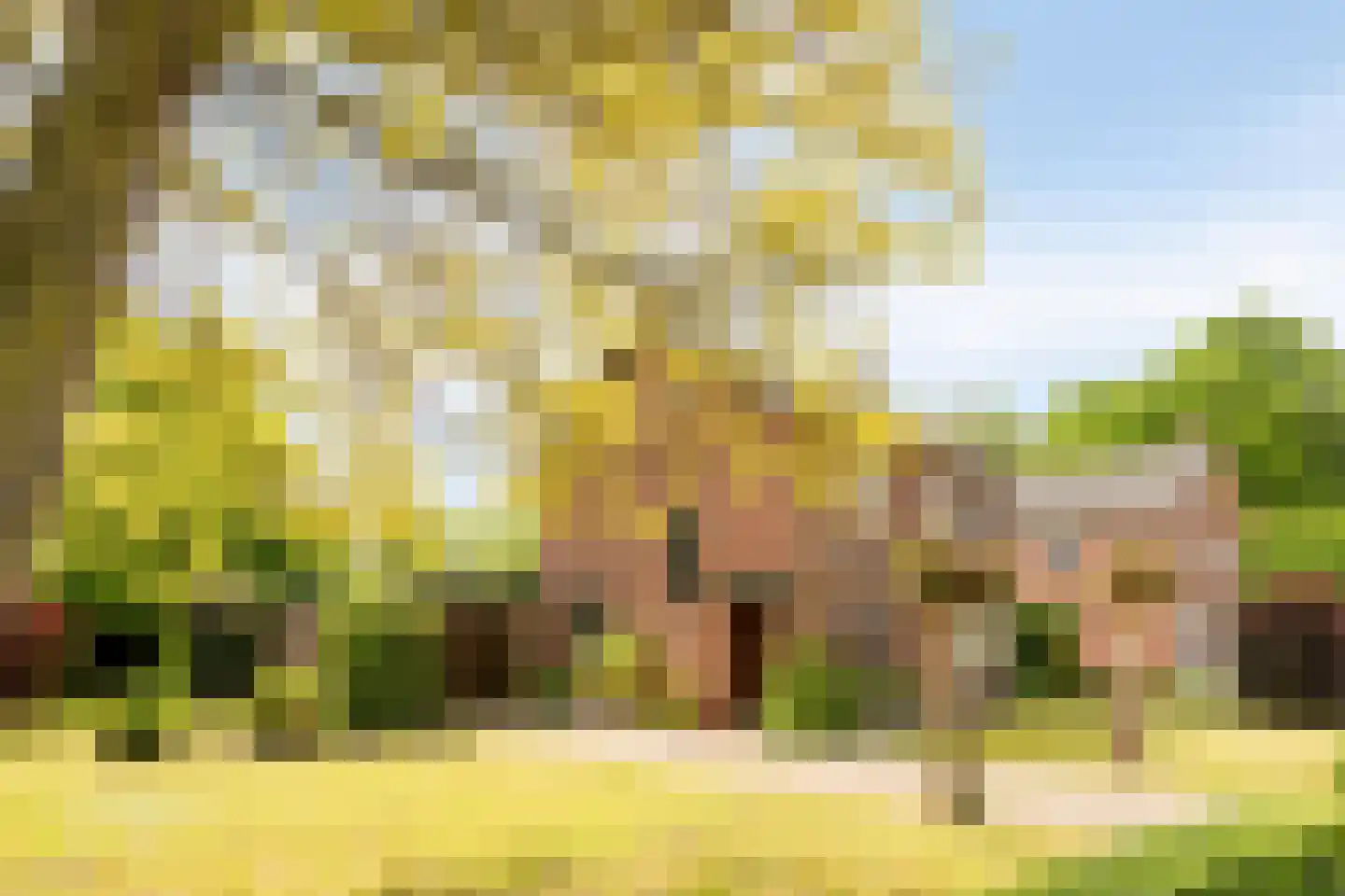 Raayerveldweg 7 Swalmen thumbnail 59