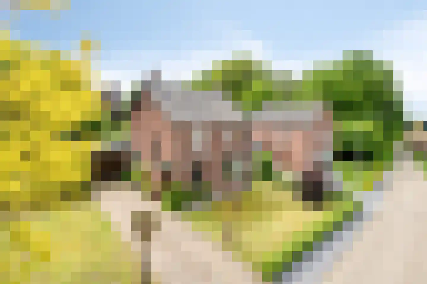 Raayerveldweg 7 Swalmen thumbnail 63