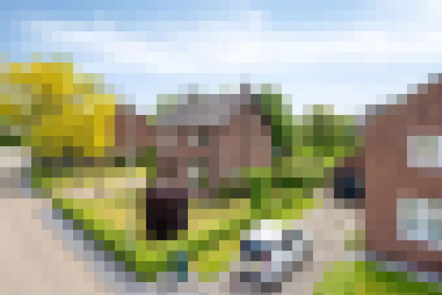Raayerveldweg 7 Swalmen thumbnail 65