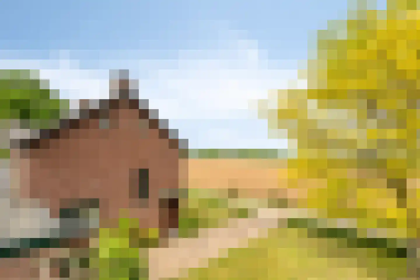 Raayerveldweg 7 Swalmen thumbnail 66