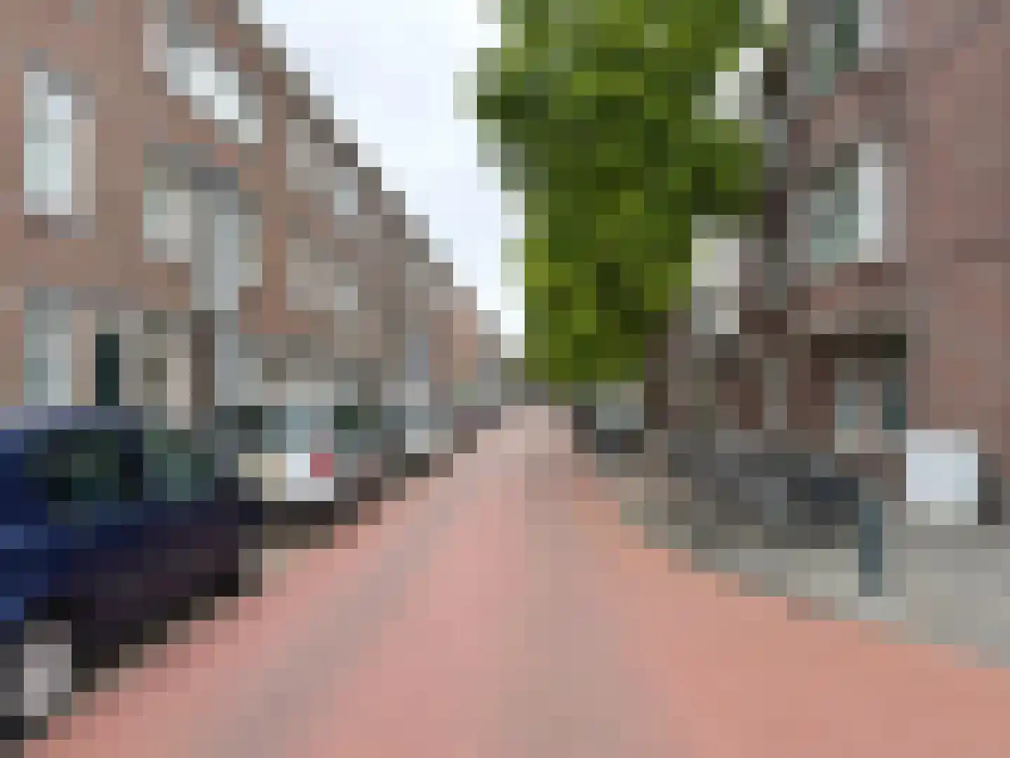 Rabarberstraat 20 Den Haag thumbnail 20