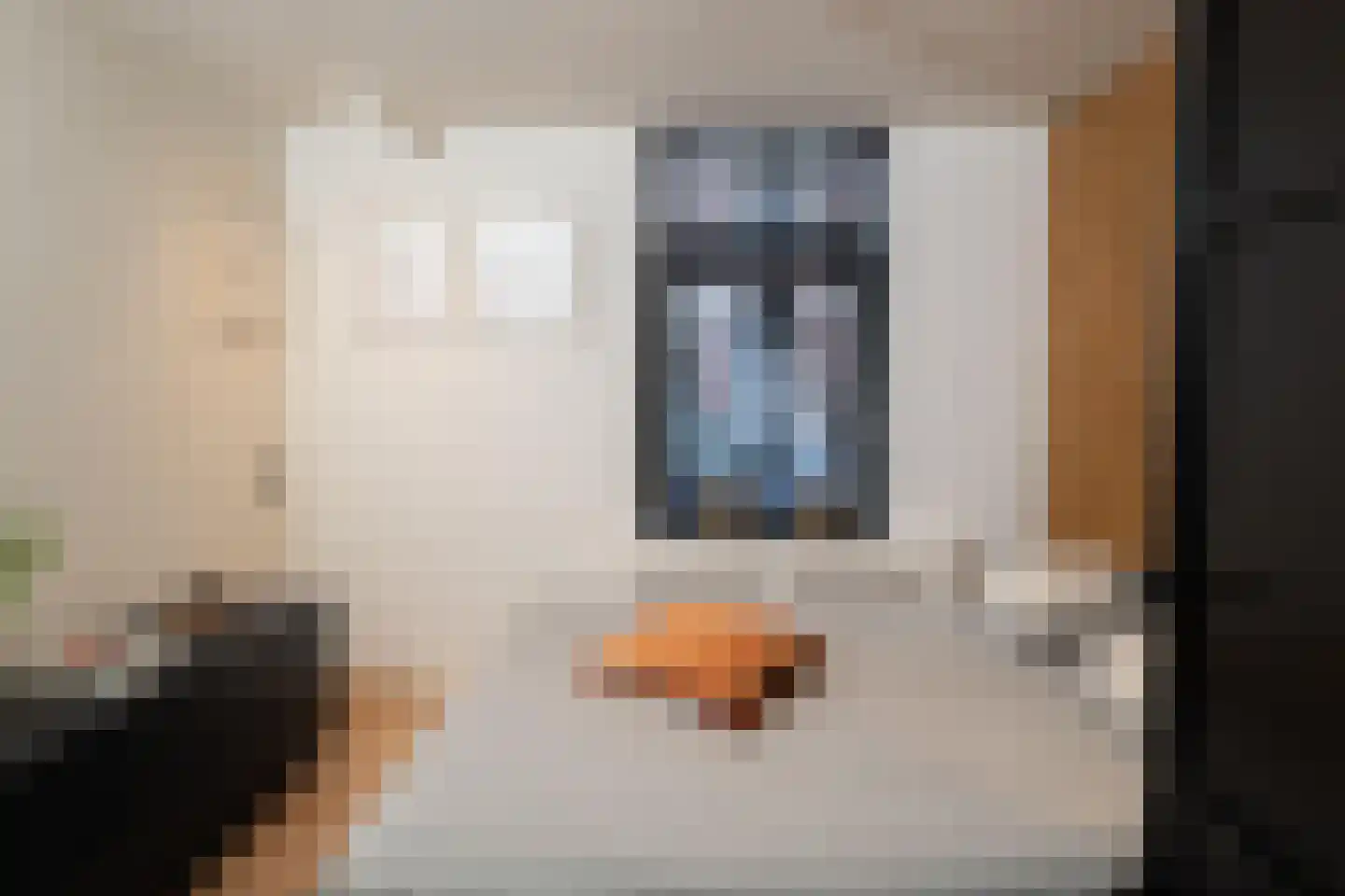 Rabarberstraat 7 Den Haag thumbnail 12
