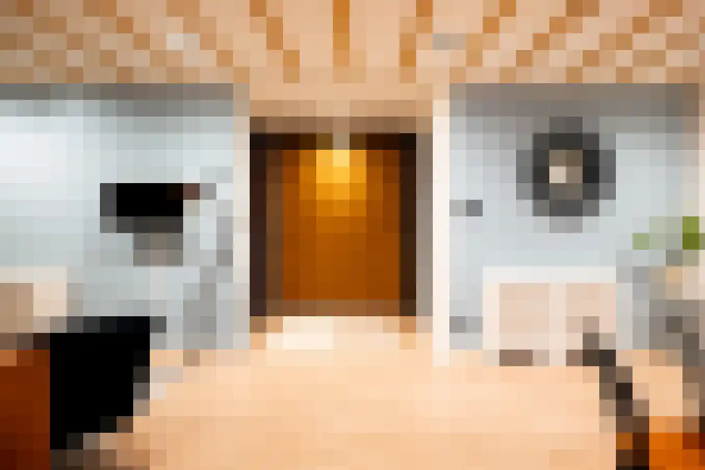 Rabarberstraat 7 Den Haag thumbnail 6