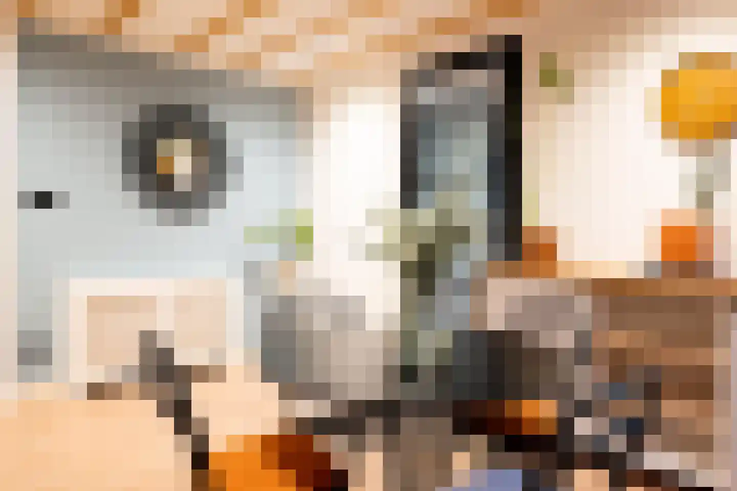 Rabarberstraat 7 Den Haag thumbnail 8